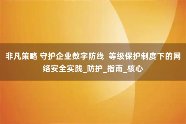 非凡策略 守护企业数字防线  等级保护制度下的网络安全实践_防护_指南_核心