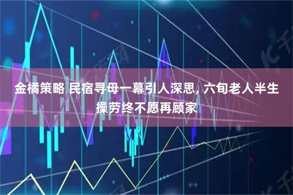 金橘策略 民宿寻母一幕引人深思, 六旬老人半生操劳终不愿再顾家